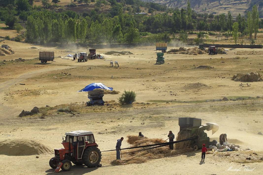 Konya’da kuraklığın içine çizilmiş harman portresi 1